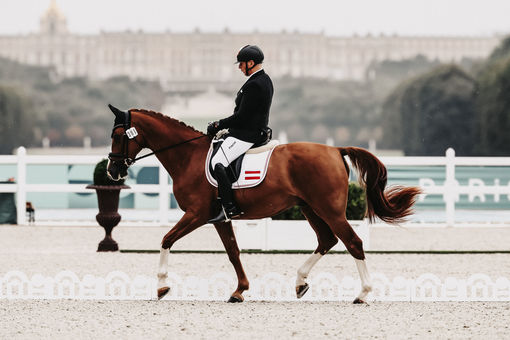 Reitsport
