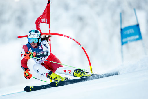 FIS WC Killington