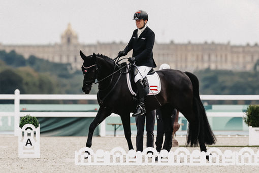 Reitsport